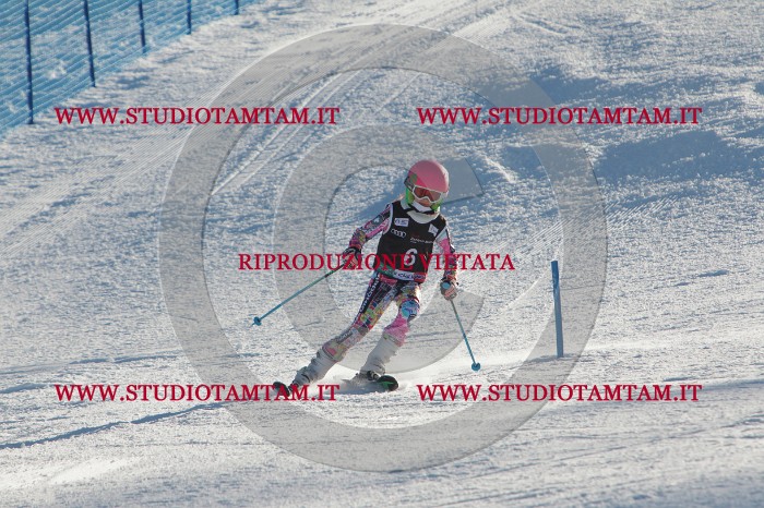 MAT_3129.JPG