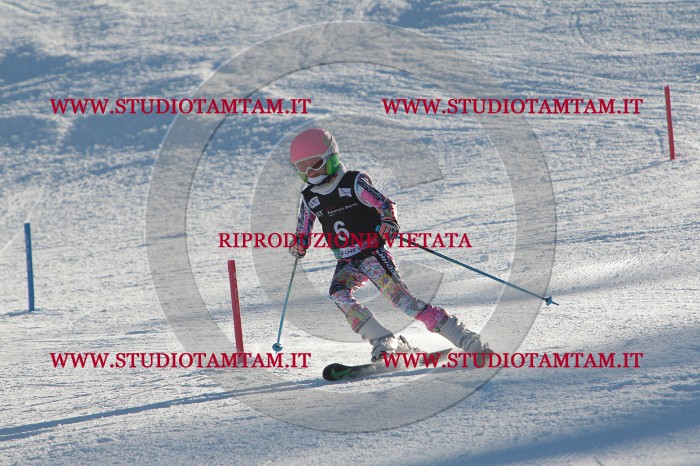 MAT_3131.JPG