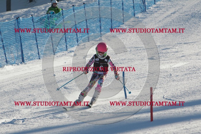 MAT_3132.JPG