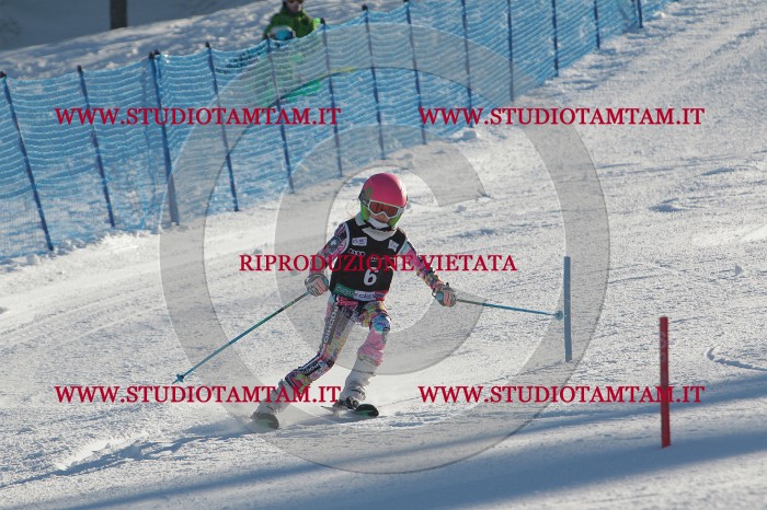 MAT_3133.JPG