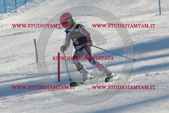MAT_3135.JPG