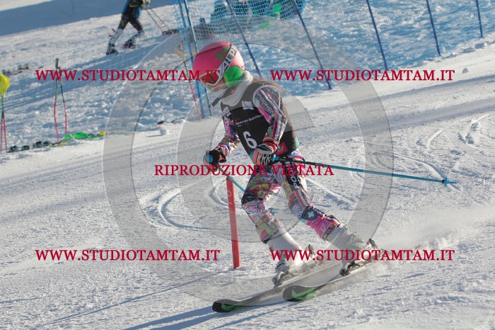 MAT_3139.JPG
