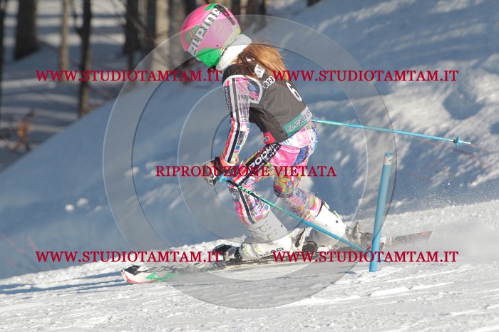MAT_3140.JPG