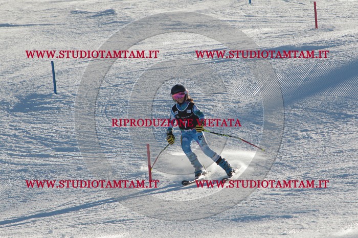 MAT_3143.JPG