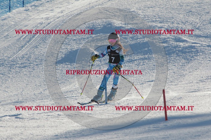 MAT_3144.JPG