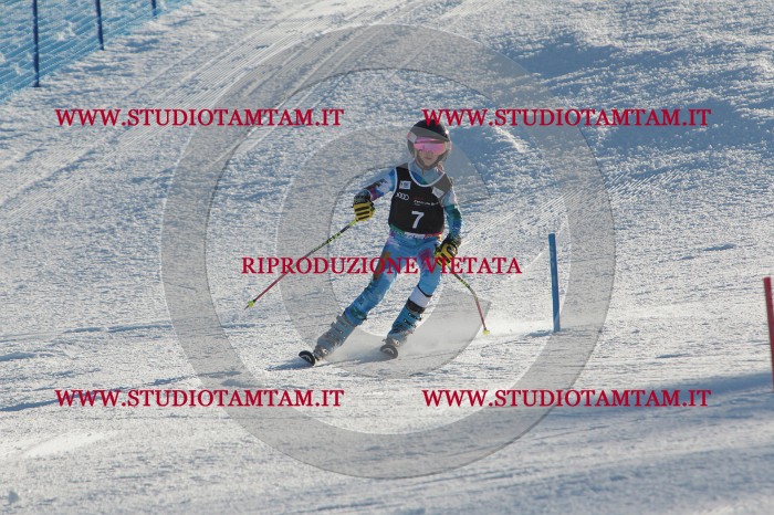 MAT_3145.JPG