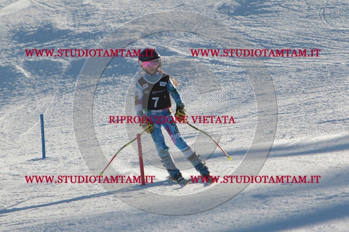 MAT_3146.JPG