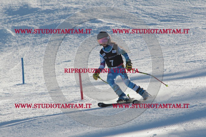 MAT_3147.JPG