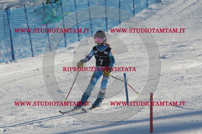 MAT_3148.JPG