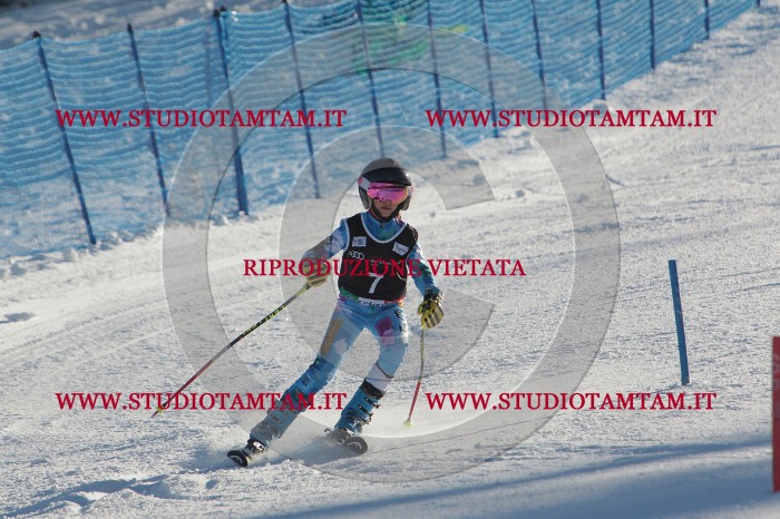 MAT_3149.JPG