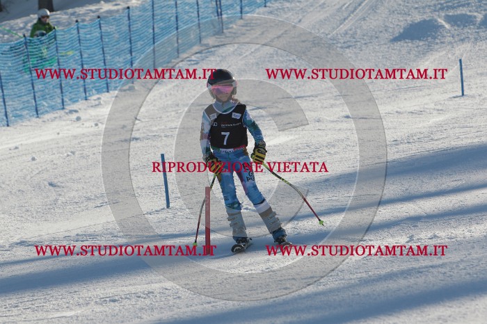 MAT_3150.JPG