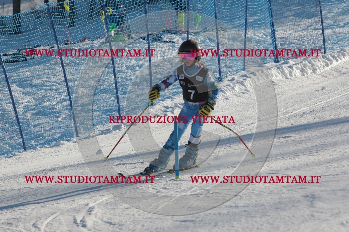 MAT_3152.JPG