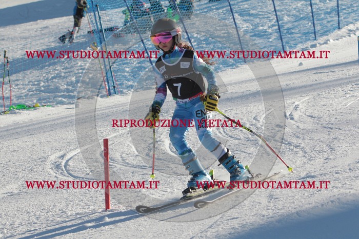 MAT_3154.JPG