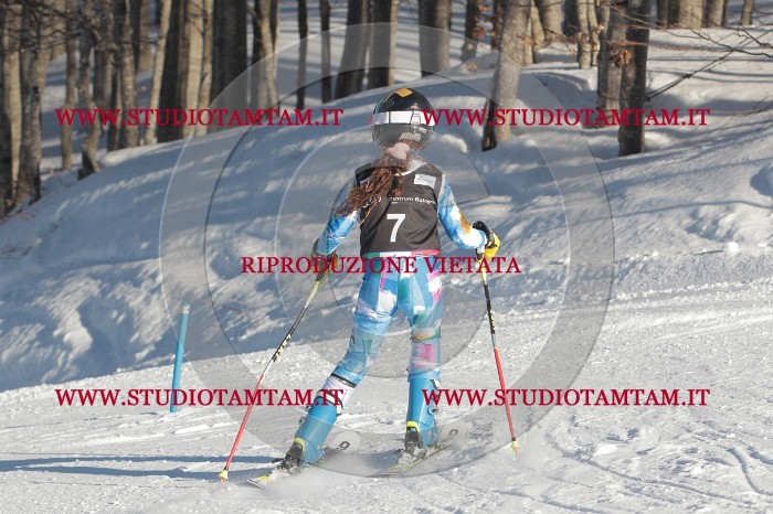 MAT_3155.JPG