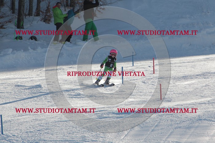 MAT_3158.JPG