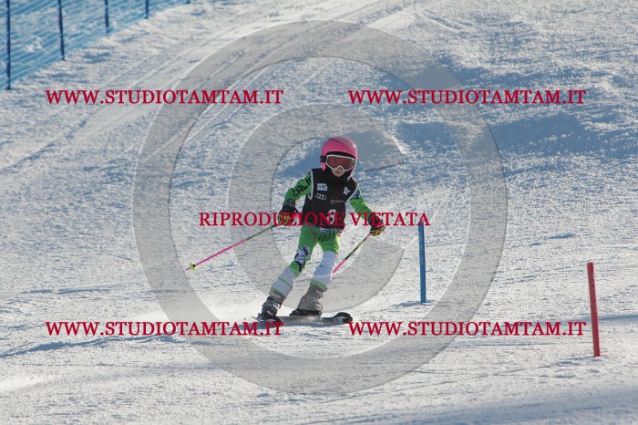 MAT_3163.JPG
