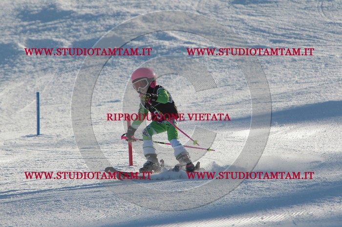 MAT_3165.JPG