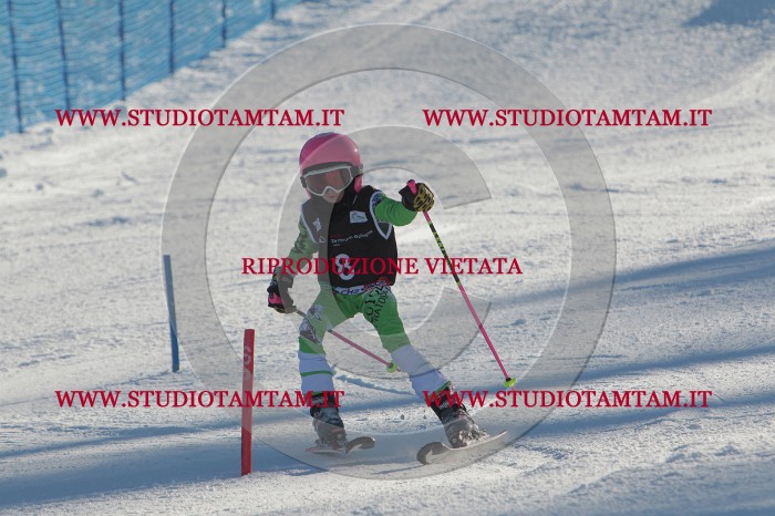MAT_3167.JPG