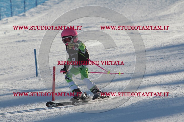 MAT_3168.JPG