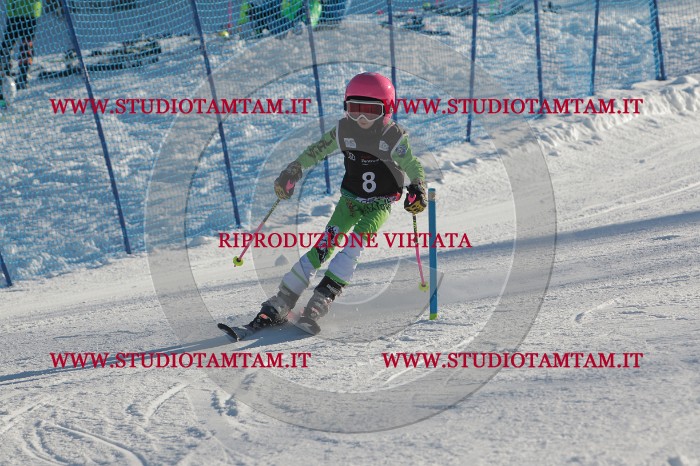 MAT_3169.JPG