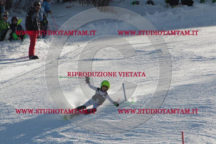 MAT_3177.JPG