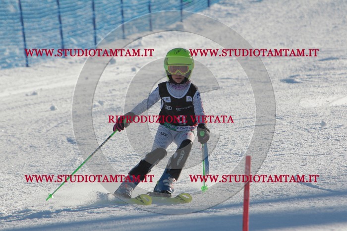 MAT_3180.JPG