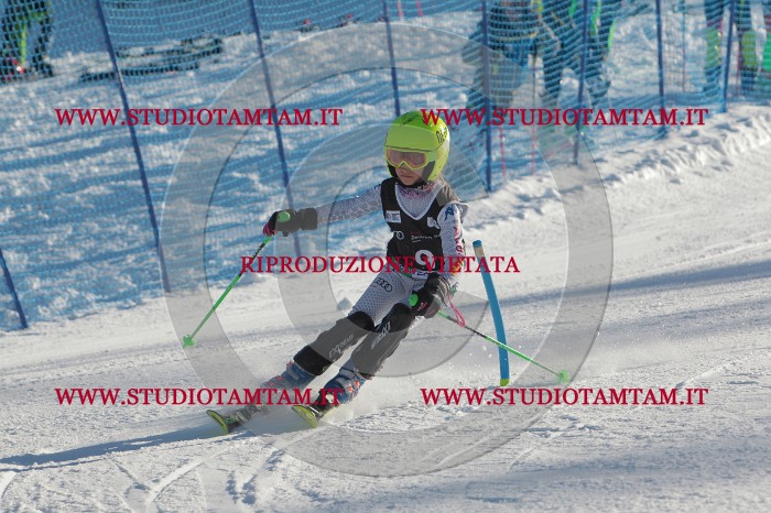 MAT_3183.JPG