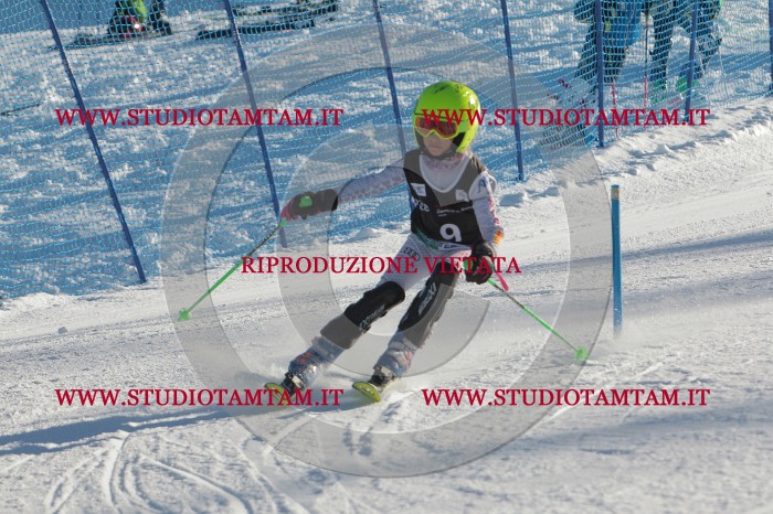MAT_3184.JPG