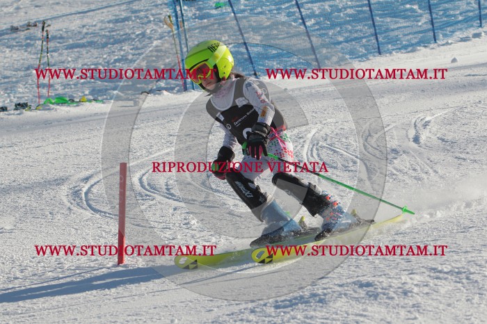 MAT_3185.JPG