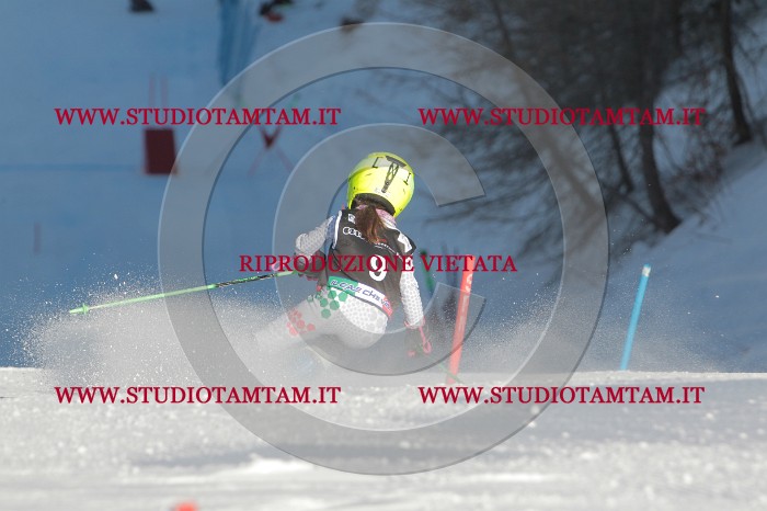 MAT_3187.JPG