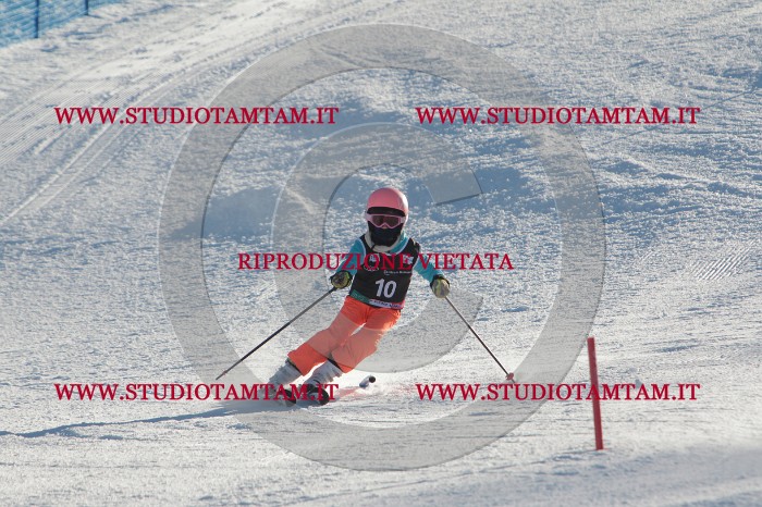 MAT_3193.JPG