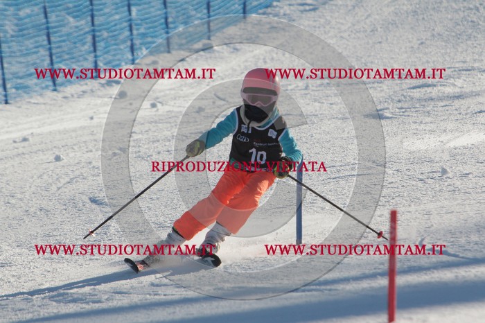 MAT_3195.JPG