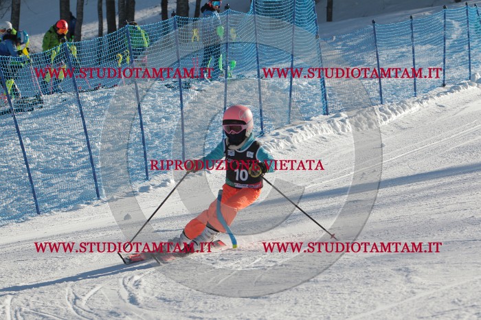 MAT_3197.JPG
