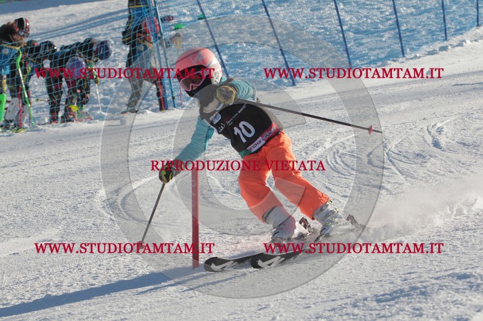 MAT_3198.JPG