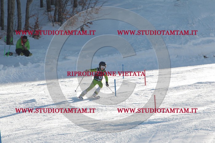 MAT_3213.JPG