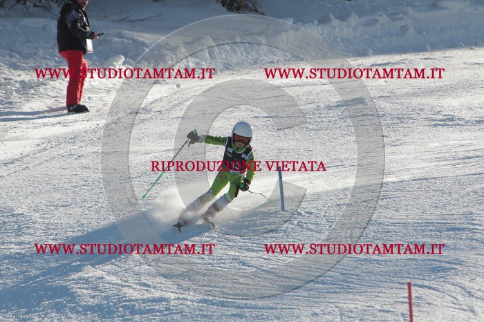 MAT_3230.JPG
