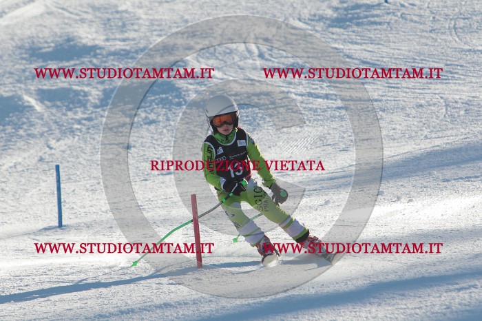 MAT_3235.JPG