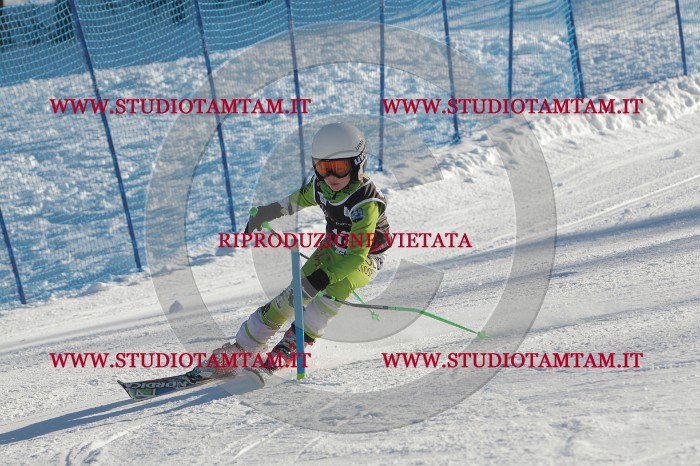 MAT_3240.JPG