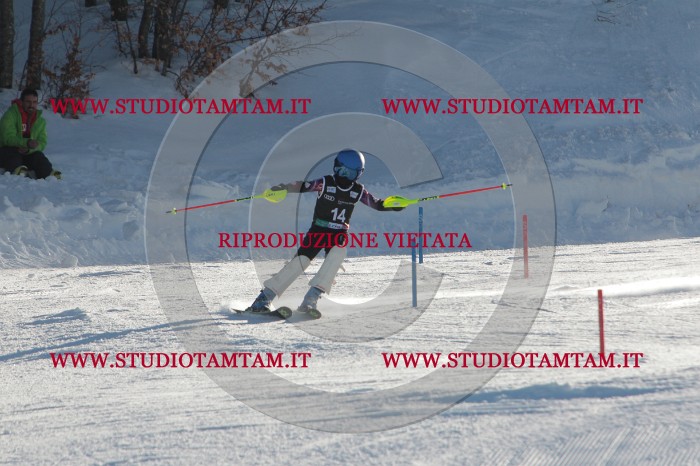 MAT_3249.JPG