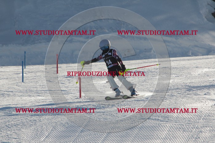 MAT_3252.JPG