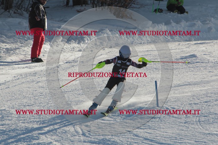 MAT_3253.JPG