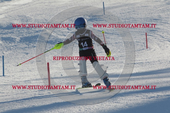 MAT_3255.JPG