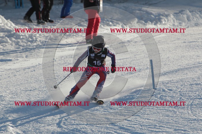 MAT_3266.JPG