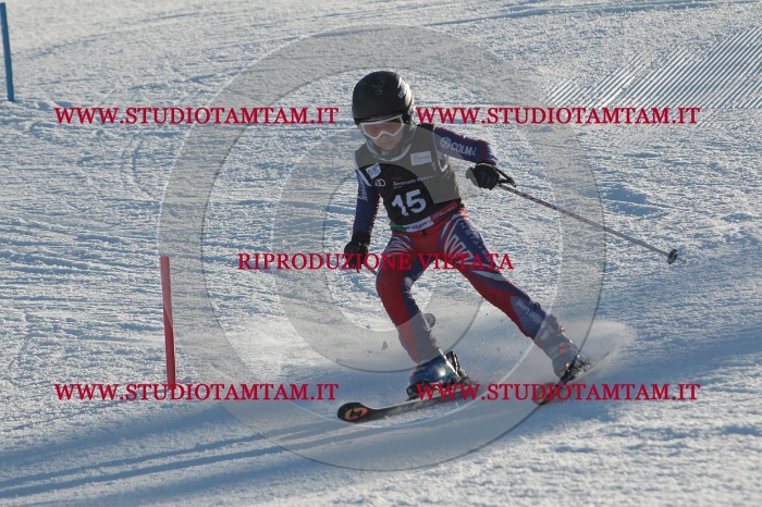 MAT_3267.JPG