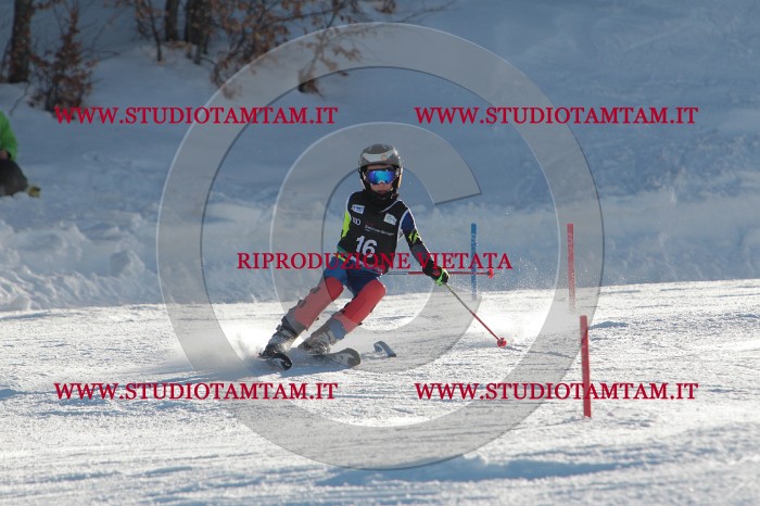 MAT_3275.JPG