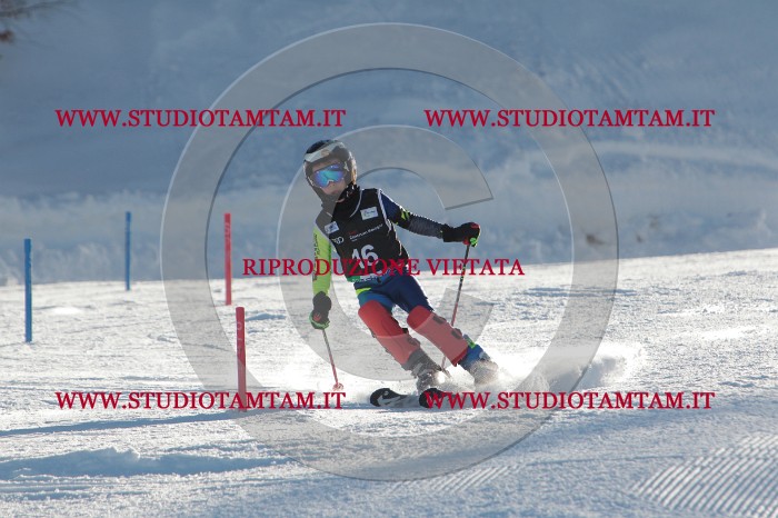 MAT_3276.JPG