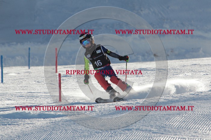 MAT_3277.JPG