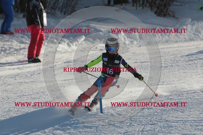 MAT_3278.JPG