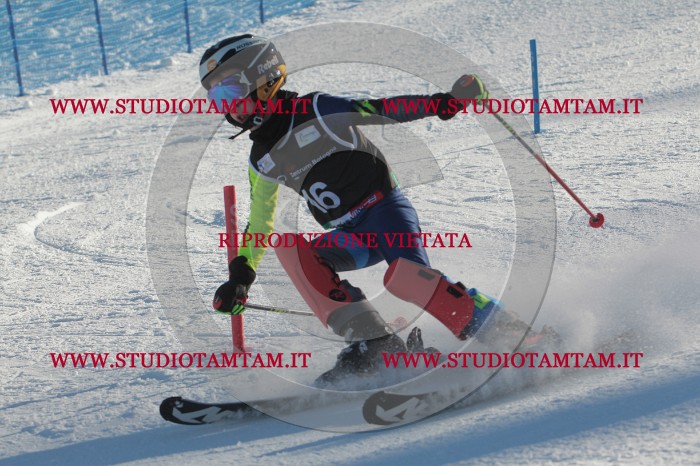 MAT_3285.JPG