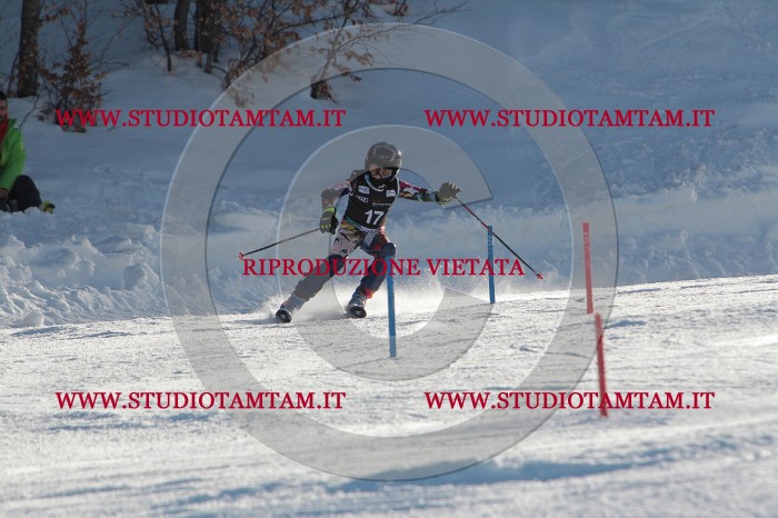 MAT_3287.JPG